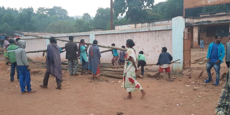 Villagers foil timber smuggling from jungle