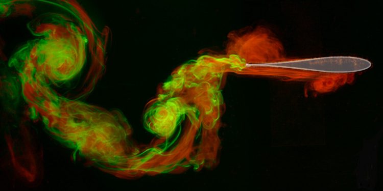 The best wing shapes, such as the one shown above, are found to make strong vortices at the trailing edge that were not interfered with by the vortices generated at the leading edge. Pictured is from an experiment revealing ideal airfoil shapes for flapping flight, with the flows generated at the front part of the wing [red] and the rear [green] visualized using fluorescent dyes. Credit: The Applied Math Lab, NYU's Courant Institute of Mathematical Sciences (YouTube)