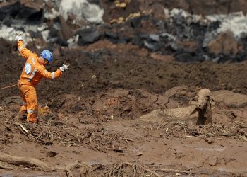 Rescue work try to reach a cow that is stuck in a field of mud, two days after a dam collapse in Brumadinho, Brazil, Sunday, Jan. 27, 2019. Brazilian officials on Sunday suspended the search for potential survivors of a dam collapse that has killed at least 40 people amid fears that another nearby dam owned by the same company was also at risk of breaching. (AP)