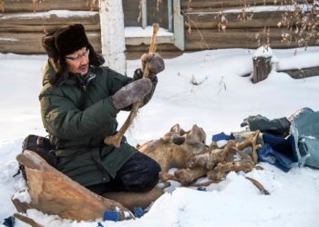 Prokopy Nogovitsyn shows part of a mammoth skeleton in the backyard of his house in a village in the northern Siberian region of Yakutia (AFP)