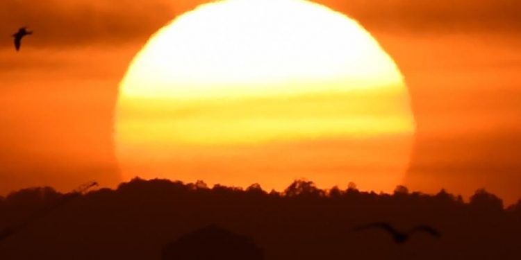 Heatwave in Australia as mercury touches 50