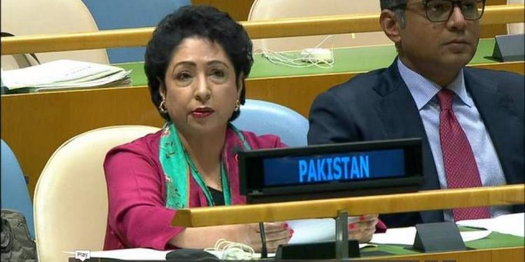 Pakistan representative to the UN, Syed Akbaruddin