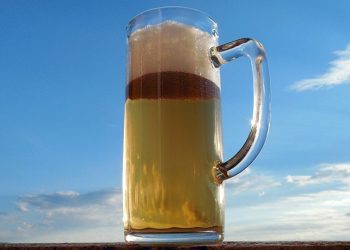Glass of Beer