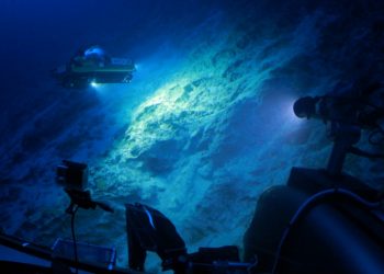 A handout picture from 2016 released by ocean research institiute Nekton shows a submersible craft working above the seabed off the coast of Bermuda (AFP)