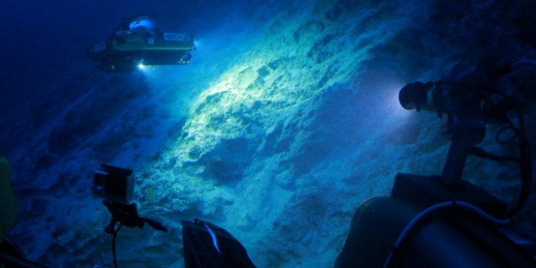 A handout picture from 2016 released by ocean research institiute Nekton shows a submersible craft working above the seabed off the coast of Bermuda (AFP)