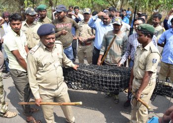 File photo of Forest department officials laying the trap to catch the leopard that recently strayed into the human settlement in Bhubaneswar