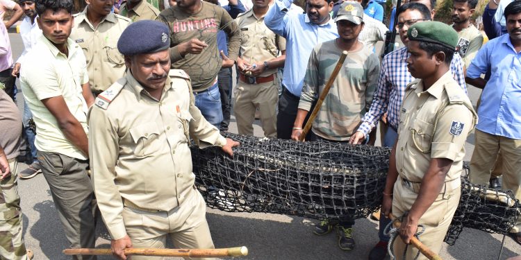 File photo of Forest department officials laying the trap to catch the leopard that recently strayed into the human settlement in Bhubaneswar