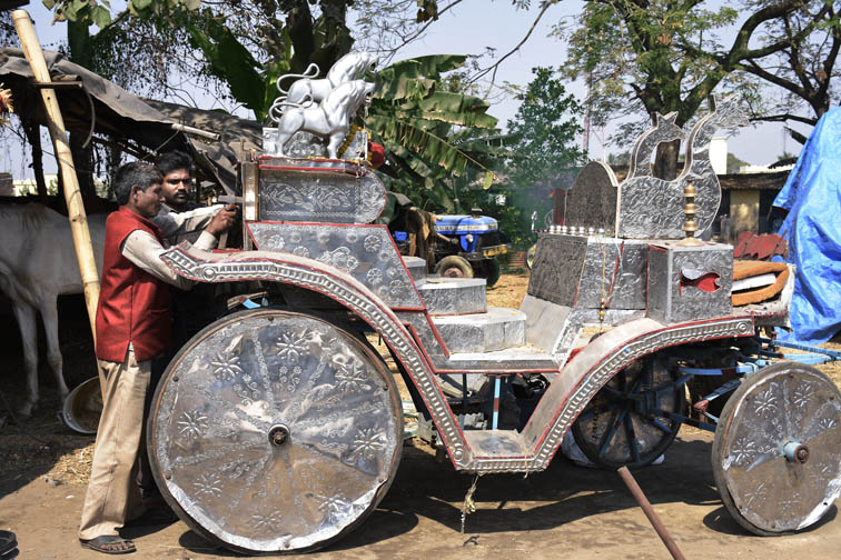 Horse Supply in Cuttack