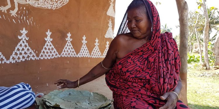 A woman with Sal leaf plates at Dengajhari village in Nayagarh district