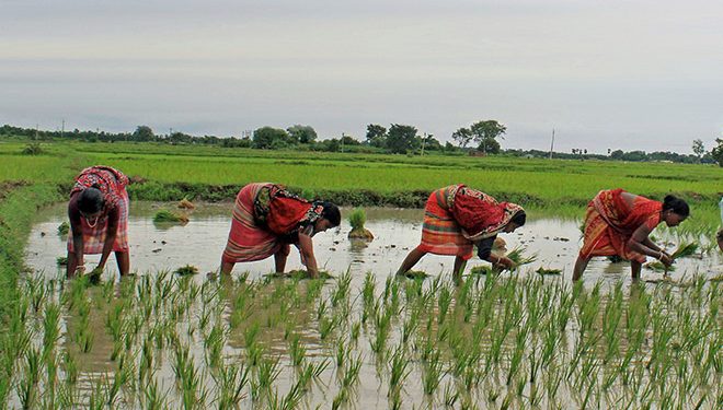 Odisha to implement PM-KISAN scheme