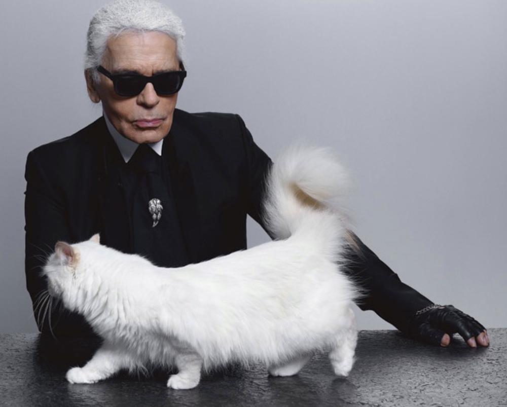 Karl Lagerfeld’s cat set to become wealthiest feline - OrissaPOST