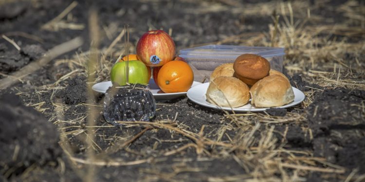 An offering of fruit, bread rolls, and a plastic container of Ethiopian Injera, a fermented sourdough flatbread, sit next to incense sticks, placed by officials from the Aviation Industry Corporation of China (AVIC) as they prayed at the scene where the Ethiopian Airlines Boeing 737 Max 8 crashed shortly after takeoff on Sunday killing all 157 on board, near Bishoftu, or Debre Zeit, south of Addis Ababa, in Ethiopia Tuesday, March 12, 2019. (AP)