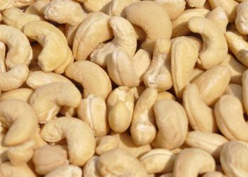 Odisha exports cashew nuts to Bangladesh