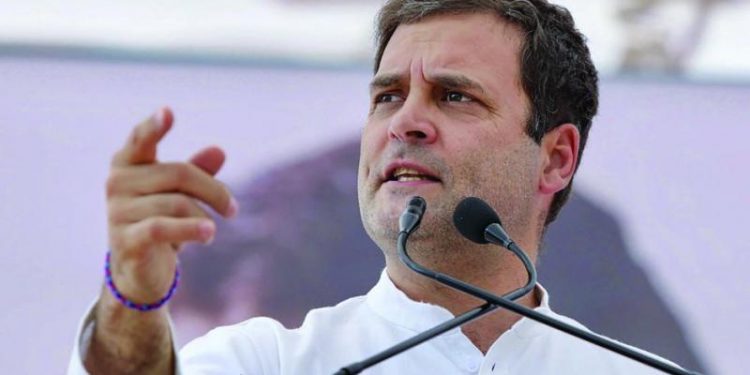 Congress President Rahul Gandhi (PTI)