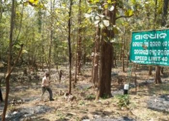 Satakosia Tiger Reserve faces forest fire threat