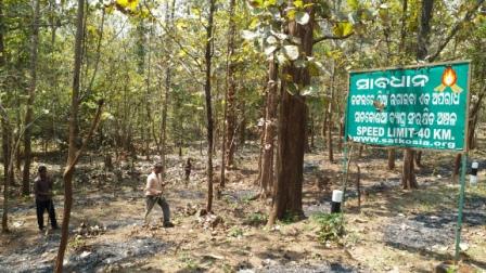 Satakosia Tiger Reserve faces forest fire threat