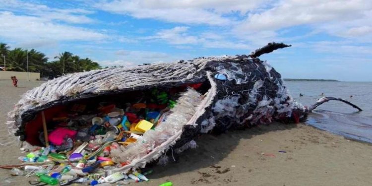 Dead whale washed up in Philippines had 40kg of plastic bags in its stomach (AFP)