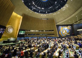 The General Assembly must be in the ‘vanguard of global agenda-setting’ and lead the multilateral process for finding solutions to the challenges faced by the world, Naidu said. (Image: UN)