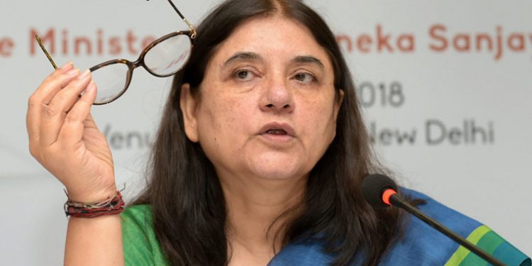 Minister for Women and Child Development Maneka Gandhi. (PTI)