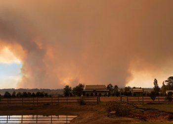 A severe four-day heatwave has brought fire weather across the southern parts of Western Australia, South Australia, Victoria and Tasmania over the weekend (REUTERS)