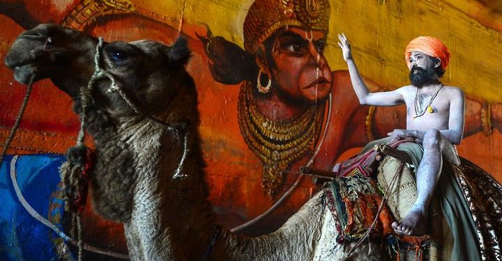 An Indian naga sadhu rides a camel as he takes part in a religious procession towards the Sangam area during the 'royal entry' for the Kumbh Mela. (AFP)