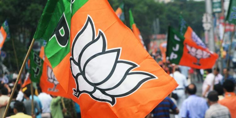 bjp-flag-3818