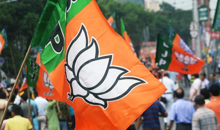 bjp-flag-3818