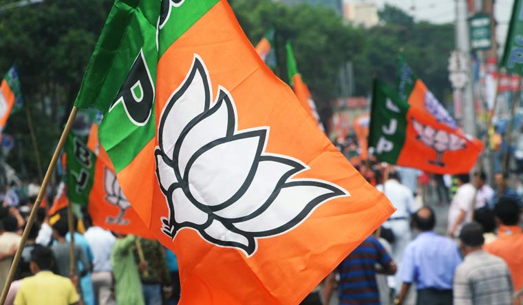 bjp-flag-3818