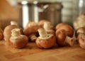 Eight from Ganjam family hospitalised after eating poisonous mushrooms