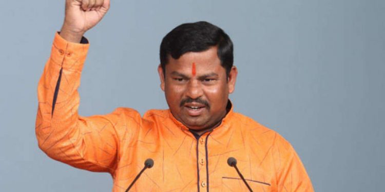 Singh, who represents the Goshamahal constituency in Hyderabad, had announced that his new song was dedicated to the Indian armed forces and will be released on the occasion of Ram Navami Sunday. (Image: PTI)