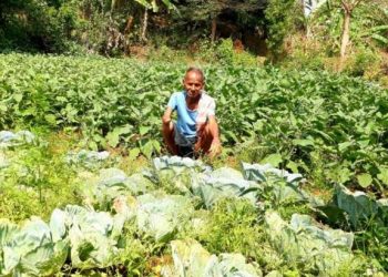 Disabled man turns barren land into orchard