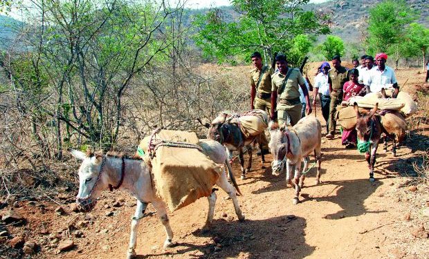 Donkeys carrying materials for elections is  common sight in the region since 1977. (Image: DC)