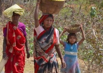 Forest dwellers seek fair price for mahua flowers