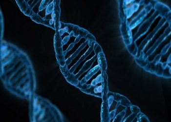 This gene could reduce inflammation after stroke