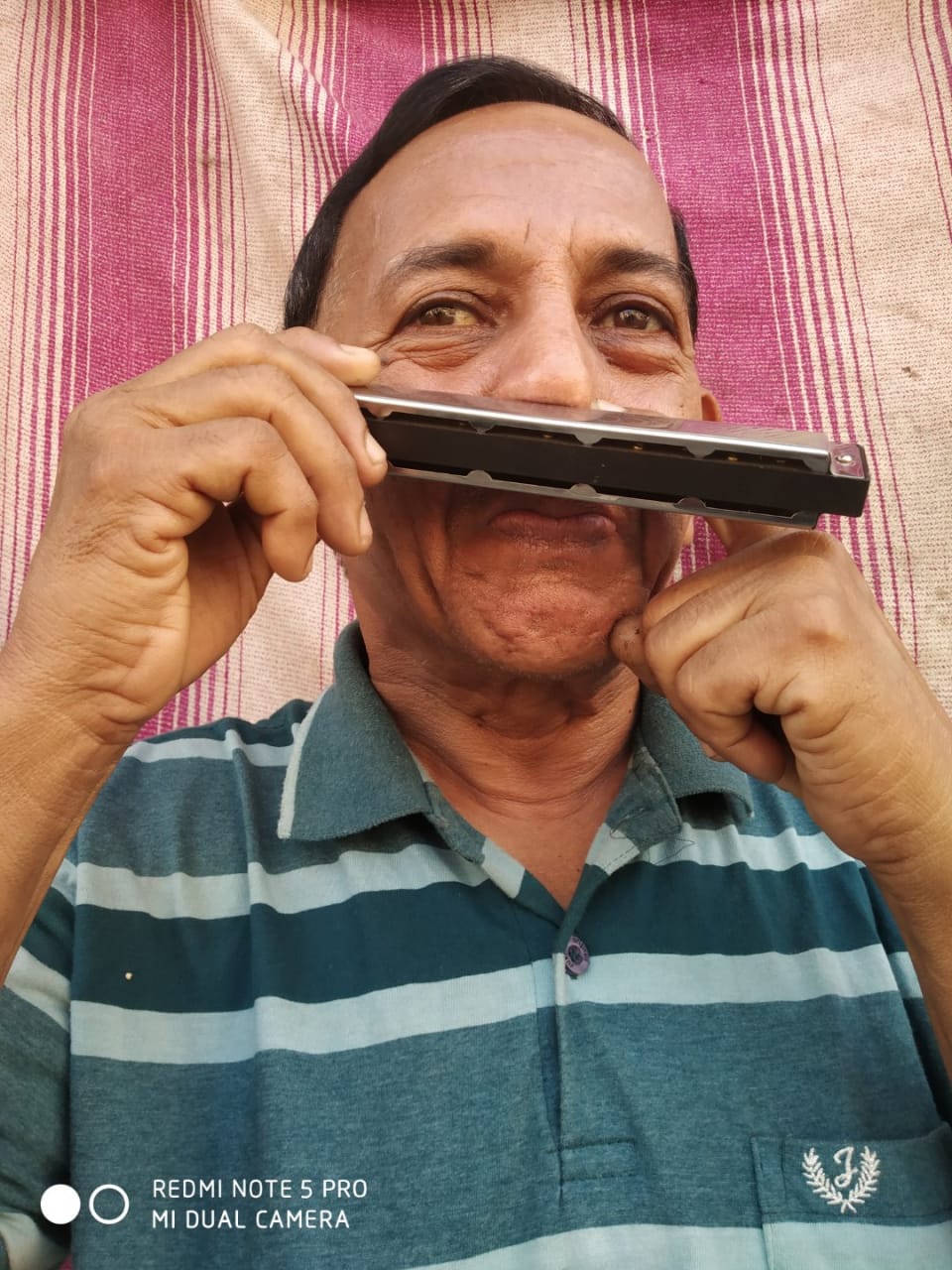 Nose harmonica cheap