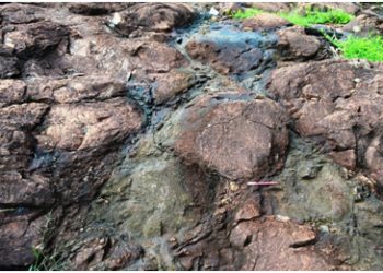 The pillow basalt at Nomira in Keonjhar  	courtesy: GSI