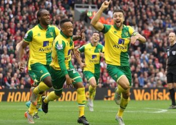 Norwich City back in English Premier League after three years. (AFP)