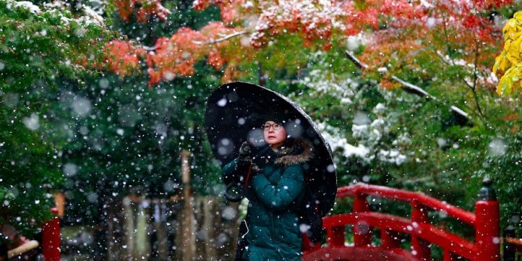 "It's a very clever device -- a weather station that can tell you how much snow is falling, the direction the snow is falling, and the direction and speed of the wind," -Kaner