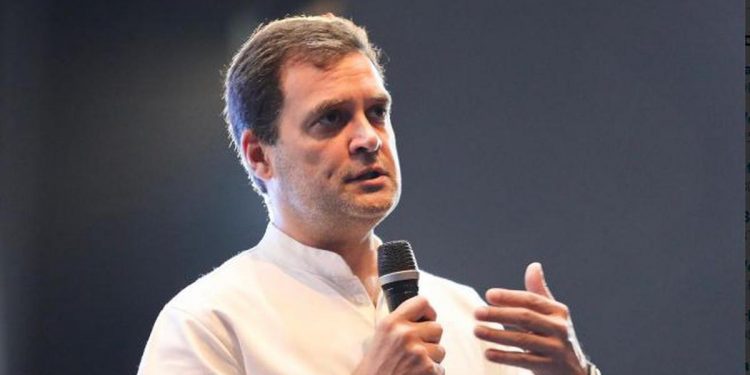 Congress president Rahul Gandhi  (PTI)