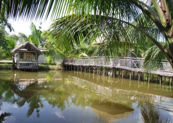 Ecotourism hotels at Sundarbans