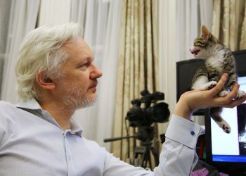 WikiLeaks founder Julian Assange holds up his new kitten at the Ecuadorian Embassy in central London, Britain, in this undated photograph released to Reuters on May 9, 2016. The kitten is a gift from Assange's young children to keep him company.   Courtesy of WikiLeaks/Handout via REUTERS      ATTENTION EDITORS - THIS IMAGE WAS PROVIDED BY A THIRD PARTY. THIS PICTURE WAS PROCESSED BY REUTERS TO ENHANCE QUALITY. AN UNPROCESSED VERSION HAS BEEN PROVIDED SEPARATELY. EDITORIAL USE ONLY. NO RESALES. NO ARCHIVE.     TPX IMAGES OF THE DAY