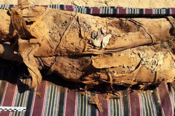 Further studies are required to determine the precise number of bodies found. (Image: CNN)