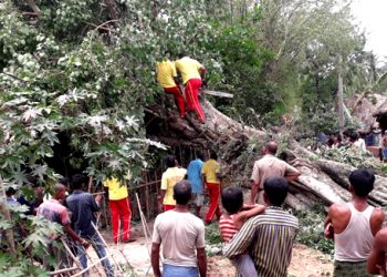 Fire department personnel (in yellow vests) and locals try to remove a huge tree Saturday which had been uprooted by cyclone Fani, Friday in Bhadrak