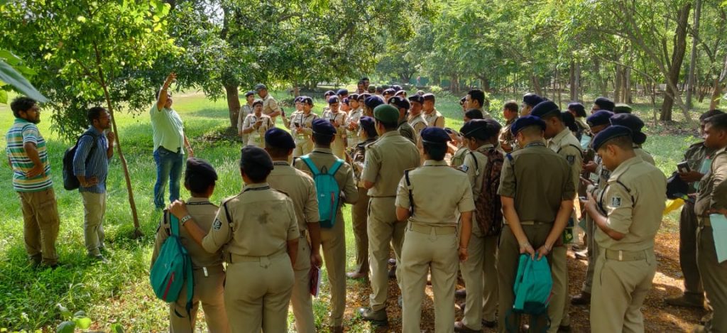 113 units to conduct wildlife census in Satkosia
