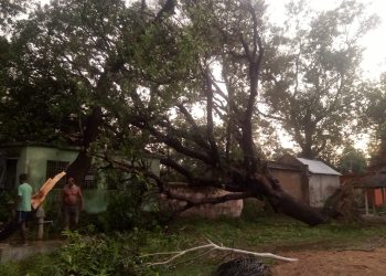 Extensive hailstorm damage in Badasahi