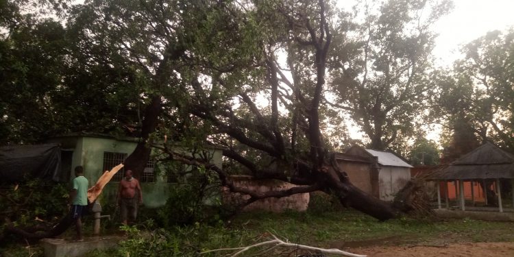 Extensive hailstorm damage in Badasahi