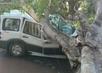 Maheswar Bindhani was killed when a tree fell on this Scorpio vehicle he was driving