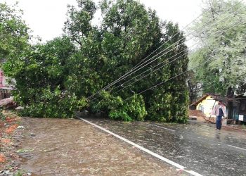 Thunderstorm kills man,wreaks havoc in Kalahandi