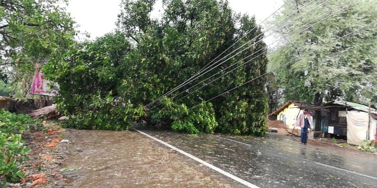 Thunderstorm kills man,wreaks havoc in Kalahandi