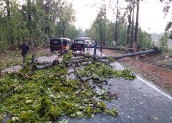 Nor’wester wreaks havoc in Nabarangpur